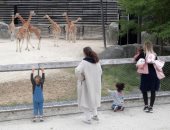 حديقة الحيوان فى باريس تفتح أبوابها امام الزائرين .. صور