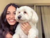 هبة طوجي بفيديو طريف مع كلبها من منزلها.. وتعلق: أشياء بسيطة