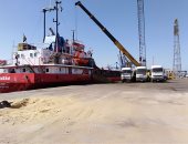تداول 24 سفينة بموانئ بورسعيد