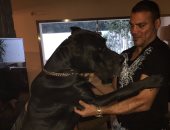 شاهد أشرس أصدقاء عمرو زكى نجم الزمالك السابق.. أليف بس عصبى