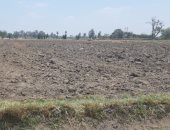 أهالى السنيطة محافظة الشرقية يعانون نقص مياه الرى وجفاف الأراضى الزراعية