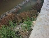 قارئ يشكو وجود مصرف مخالف أمام منزله فى قرية منشأة عزت بالدقهلية