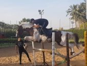 أحمد السقا يقفز الحواجز بمهارة: حصانى العزيز شكرا