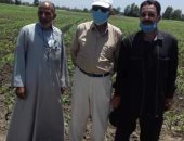 زراعة الشرقية: تنظيم زيارات ميدانية للحقول الإرشادية بالزقازيق وديرب نجم