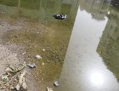 سيبها علينا.. أهالى حى الضواحى ببورسعيد يشكون من انتشار مياه الصرف الصحى