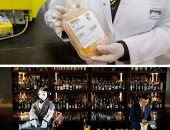 أسبوع كورونا × 10 صور.. معامل الدم تستقبل المتبرعين بالبلازما.. برازيليون يحفرون 100 قبر للاعتراض على تعامل حكومتهم مع الأزمة.. كنائس العالم تصلى على الضحايا.. ومدرسة أمريكية تحتفل بتخرج طلابها بمسرح السيارات