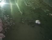 شكوى من سوء الصرف الصحى بشارع سيد مغاورى فى بشتيل ووصوله لكابلات الكهرباء