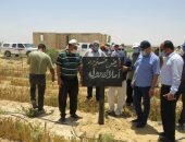 استرداد 50 فدان من أراضى الدولة بوادى النطرون في محافظة البحيرة