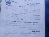 النيابة تقرر إخلاء سبيل ألمانية فى واقعة عقر كلاب ضالة لشاب بالغردقة