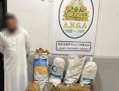 مكافحة المخدرات تضبط 150 كيلو بانجو بقيمة 375 ألف جنيه بالإسماعيلية