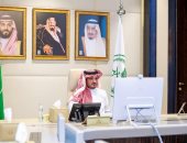 وزير داخلية السعودية يثمن دور الخدمات الطبية في مواجهة كورونا.. صور