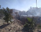 حريق محدود بمنطقة مخلفات زراعية مفتوحة بجامعة المنيا.. صور 