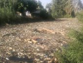 شكوى من تراكم القمامة والحيوانات النافقة بترعة قرية دندره بقنا