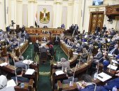 عضو لجنة الدفاع بالبرلمان: غضبة بمجلس النواب بسبب فيديو تعذيب المصريين بليبيا