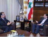 سعد الحريرى يبحث الأوضاع اللبنانية مع السفير الفرنسى ببلاده