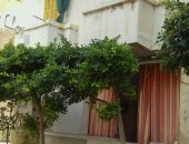 صور.. "اتحضر للأخضر" تصل الى منطقة "أبو قير" شرق الإسكندرية