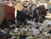 صور .. تراكم القمامة بشارع الجنايني بمنفلوط في اسيوط