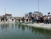 افتتاح أول موسم إنتاج أسماك بجامعة العريش لخدمة المجتمع.. صور