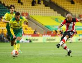 ساوثهامبتون يُسقط نورويتش بثلاثية ويقربه خطوة جديدة من توديع الدوري الإنجليزي