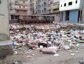 أهالى شارع الشعراوي بمساكن العبور بالمنصورة يعانون تراكم القمامة