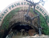 إندونيسيا تعيد فتح أقدم حديقة حيوان لديها مع قيود التباعد الاجتماعى