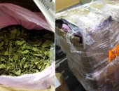 الشرطة السعودية تضبط 160 كيلوجرامًا من مادة القات المخدر بمحافظة الدائر