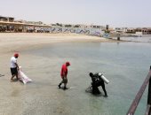 صور . حملات موسعة لتنظيف الشواطئ بالبحر الأحمر لليوم الثالث على التوالى