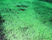 أهالى العامرية الشرقية بالمنيا يطالبون بالاهتمام بملعب مركز  الشباب