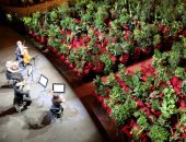 "أوبرا من نوع خاص".. حفل موسيقى للنباتات فى برشلونة بسبب حرمان كورونا للجمهور