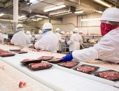 بعد تفشى كورونا بمصانع اللحوم الأمريكية.. توقعات بتزايد الإصابات فى الشتاء