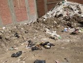 شكوى من انتشار الحشرات بسبب تراكم القمامة فى تقسيم الصنايع بكفر الشيخ