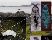 العثور على تلوث جزيئات البلاستيك في أنتاركتيكا لأول مرة