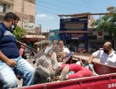 حملة مكبرة لإزالة الإشغالات والأسواق العشوائية بشوارع المحلة