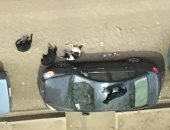 شكوى من انتشار الكلاب الضالة بشارع عمر بن عبد العزيز بفيصل فى الجيزة