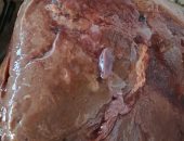 محافظ البحيرة: ضبط 2 طن و342 كجم كبدة غير صالحة للاستهلاك بكفر الدوار