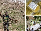 باختصار.. أهم الأخبار العالمية والعربية حتى منتصف الليل.. إدانة إدارة ترامب بانتهاك الدستور بسبب جدار المكسيك.. السودان يقرر إغلاق العاصمة بالكامل فى ذكرى الثورة.. ووزير الدفاع الصربى يعلن عن إصابته بكورونا