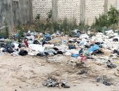 أهالى شارع أبو بكر الصديق فى الإسكندرية يطالبون بتوفير صناديق قمامة