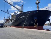 ميناء الإسكندرية: دخول وخروج 11 ألف شاحنة خلال 24 ساعة (صور)