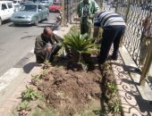 صور.. حى ثان طنطا ينظم حملة لزراعة وتقليم الأشجار بشوارع المدينة