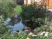 سكان الاسكان الاجتماعى بالمنزلة يطالبون بتغطية المصرف المار وسط العمارات