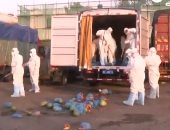 تعقيم الشاحنات الغذائية بأحد أسواق بكين خوفا من كورونا.. فيديو