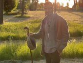 شاهد ديفيد بيكهام وسط مزرعته من تصوير زوجته فكتوريا