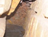 تنقيب شخصين عن الآثار يقود لكشف أثرى جديد في إسنا .. صور 