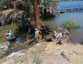 صور.. حملة لهندسة صرف الأقصر لإزالة 2 نخلة وشجرة من مصب الحبيل على النيل