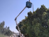 صيانة وإنارة أعمدة الكهرباء بقرية العدوة فى أسوان