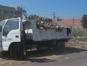 محافظ أسيوط: حملات نظافة ورفع  38 طن مخلفات وقمامة بمركز القوصية