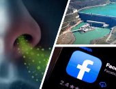 الصحف العالمية: الولايات المتحدة تسجل أقل معدل وفيات منذ أواخر مارس.. عالم بريطانى: الصين ليست مصدر كورونا والفيروس ربما كان خاملا بجميع أنحاء العالم.. فيس بوك خطر على الديمقراطية والتضليل المعلوماتى يهدد صحتنا