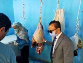 صور.. ضبط سلخانات خاصة تذبح إناث ماشية صغيرة السن ببنى سويف