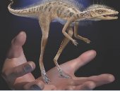 "ينفع حيوان أليف".. اكتشاف حفرية لديناصور صغير حجمه "قد الإيد"