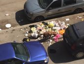 شكوى من تراكم القمامة والكلاب الضالة فى شارع أبو داوود بمدينة نصر